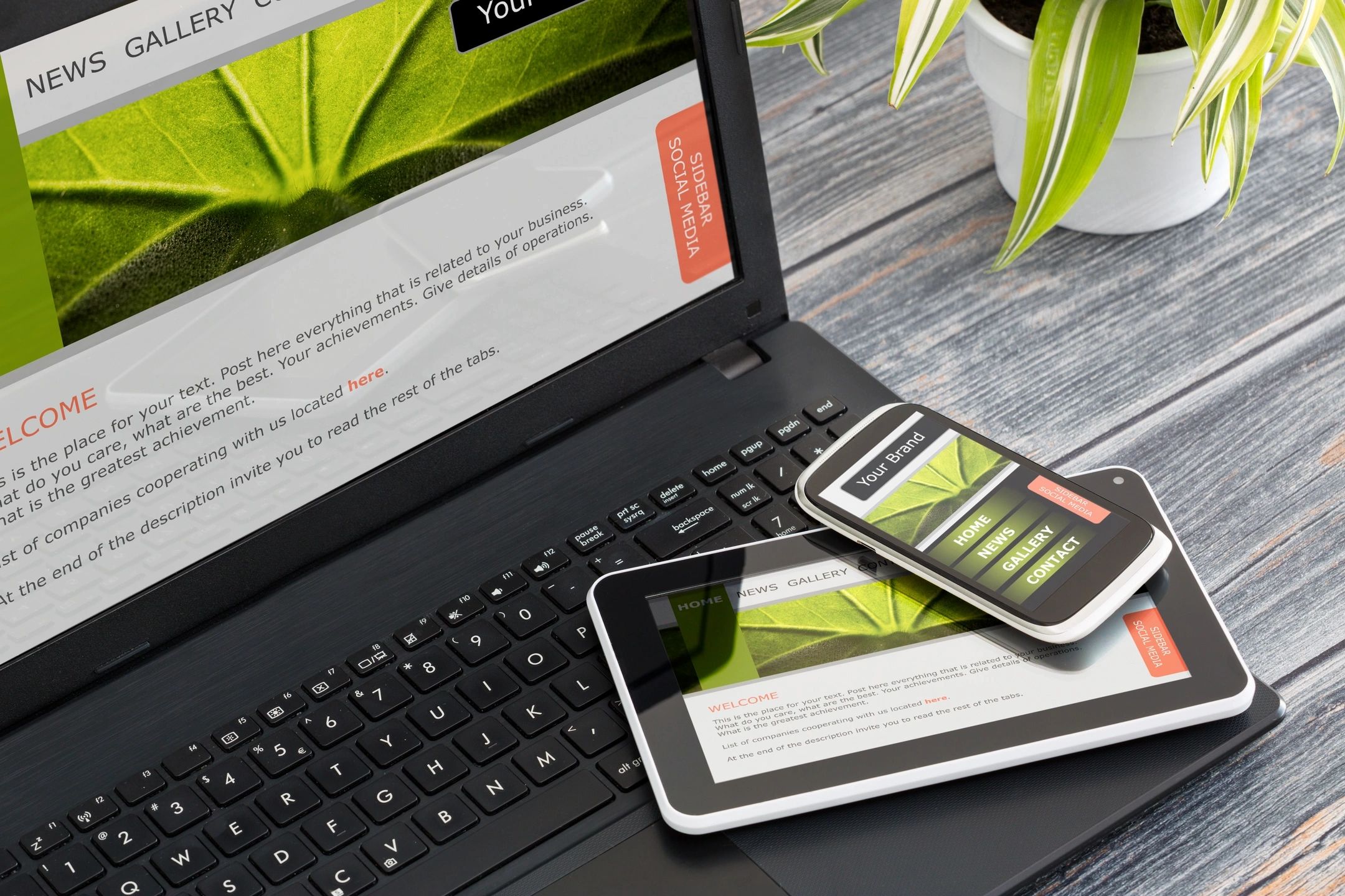 Web Design